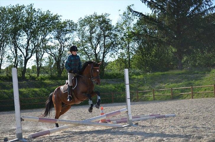 Anden særlig race Tarzan billede 9