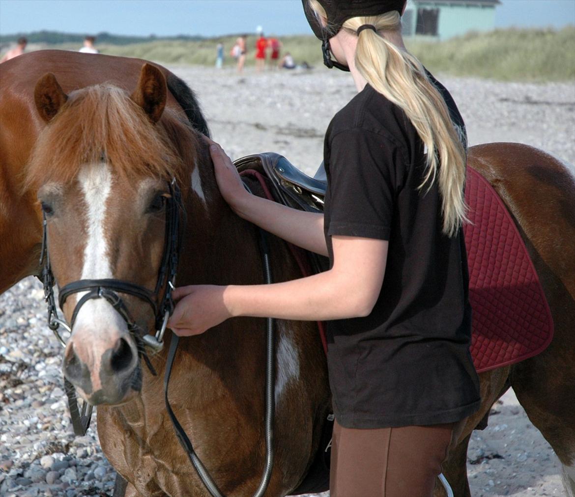 Pinto Pintoligaens Red-Butler *R.I.P* - Butler på stranden billede 14