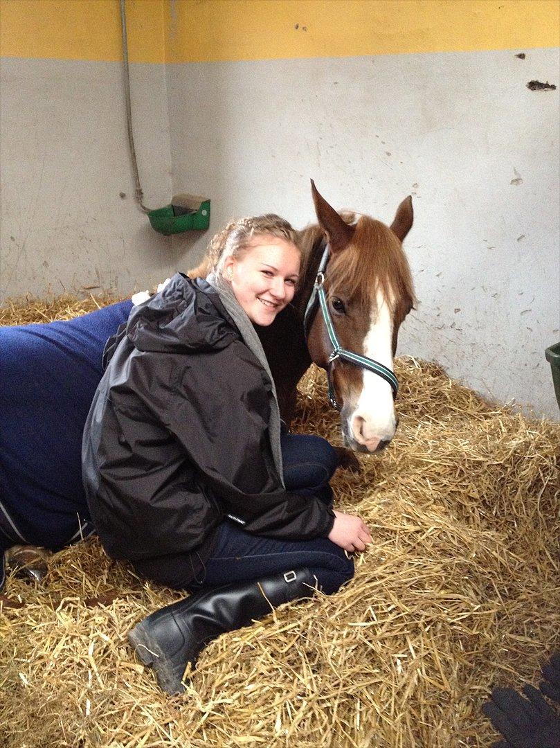 Anden særlig race Bjerregårds Bailey - Jeg blev engang spurgt hvem min bedste ven egentlig var - mit svar var enkelt & nemt, nemlig Bailey!<3 billede 6