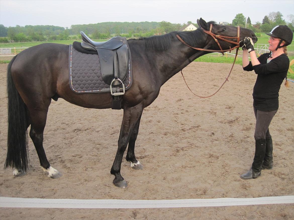 Anden særlig race Mowgli billede 8