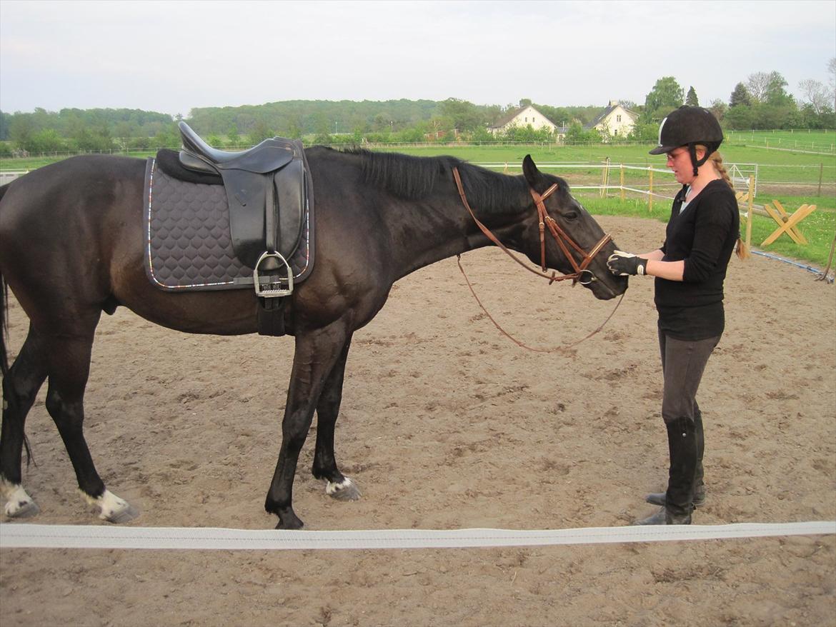 Anden særlig race Mowgli billede 9