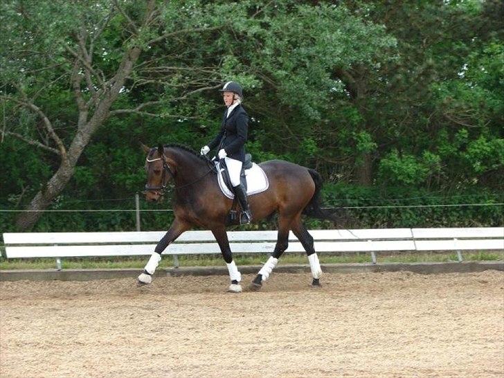 Holstener Medusa - Første udenbys-stævne i TURK d. 09/06/12 billede 19