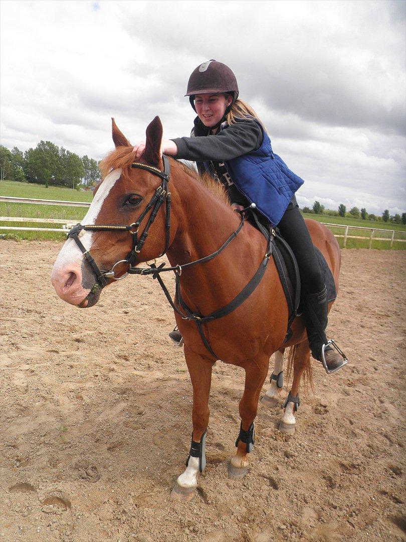 Anden særlig race Safi Rubin - D. 14/6-12 - Foto: Sabrina H billede 9