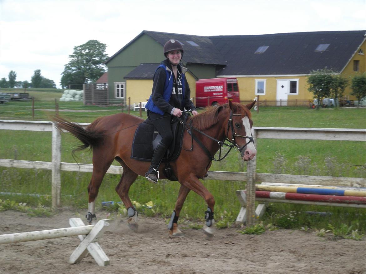 Anden særlig race Safi Rubin - D. 14/6-12 - Foto: Sabrina H billede 14