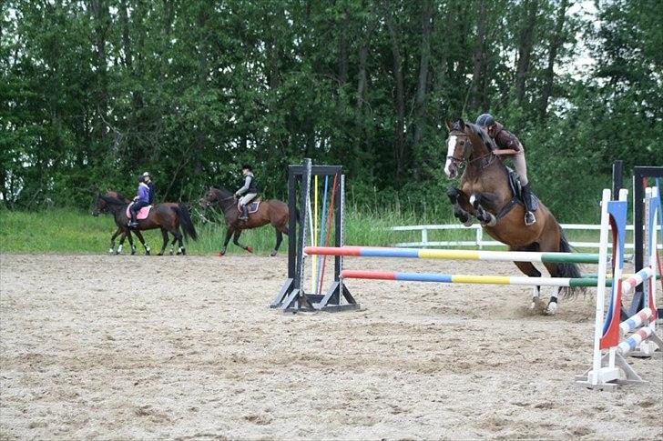 Holstener Buller - Bullers anden part Trine til springundervisning. Som I kan se springer hun noget højere end mig :] billede 17