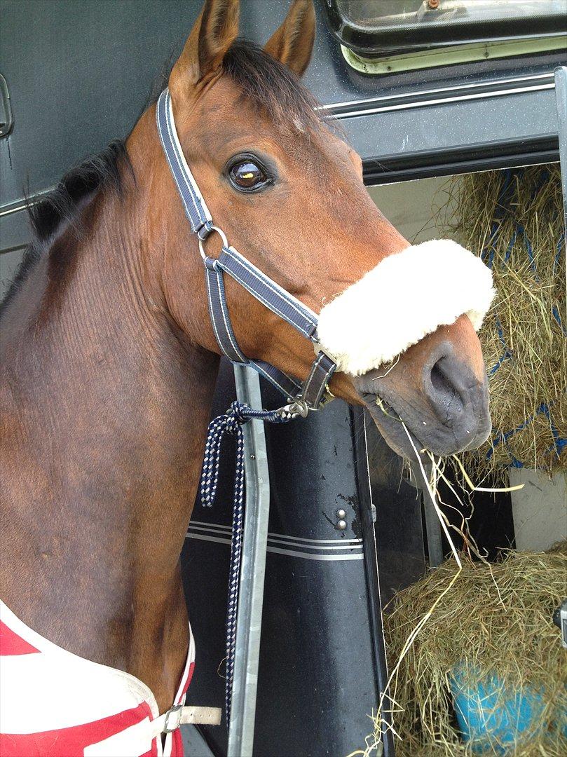 DSP Con Tender billede 8