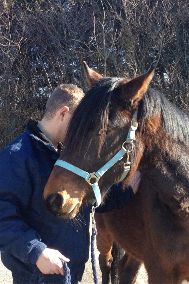Anden særlig race Øland's Victory of patience - Gammelt billede, taget af min veninde, da han stod hos hende(forrige ejer) billede 3