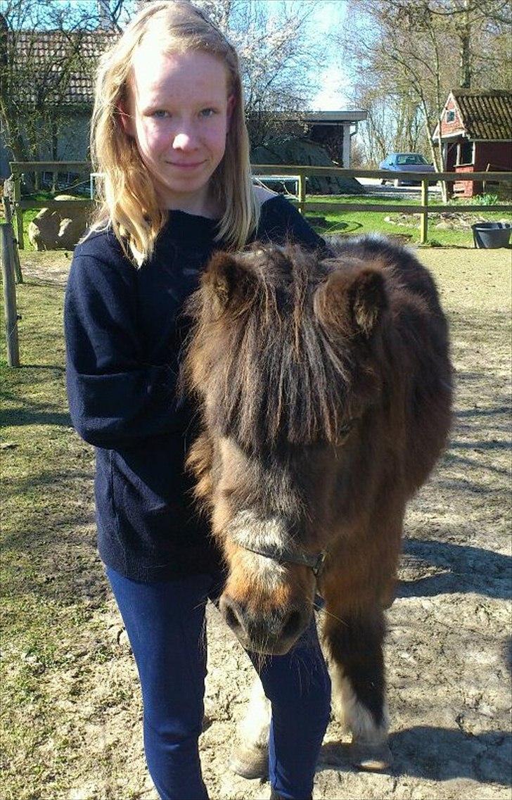 Shetlænder Djingo<3:-* RIP (Himmelhest) - Mig og min Smuksak Djingo<3:-*** billede 1