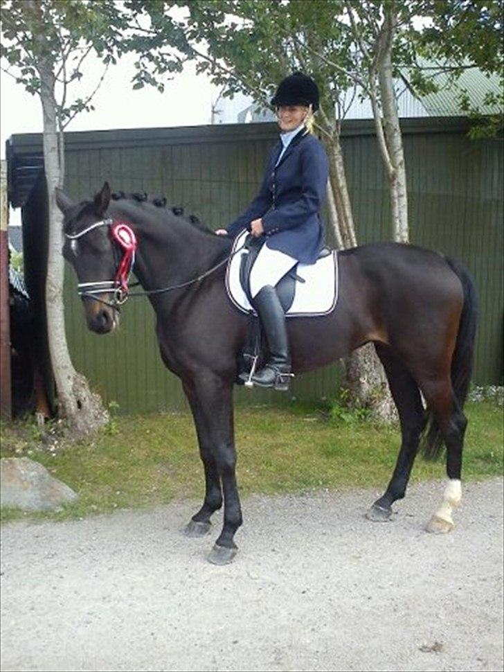 Dansk Varmblod Ajour <3 *Passer :D - Stævne AMR, LC2 vinder med 69,13 % :) <3  billede 19