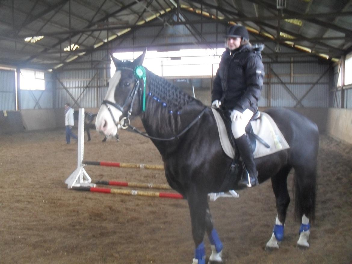 Anden særlig race Chelsey <3 - Første stævne på hende :D billede 7