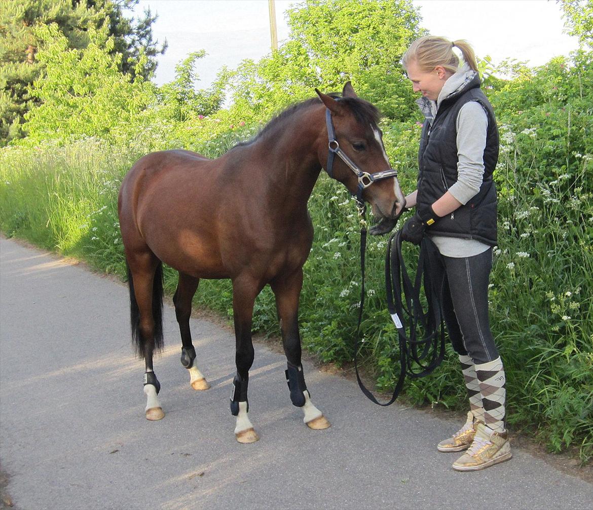 Anden særlig race Lykkebo's Athena - Athena 2 år gammel - Gamacher på for første gang:) billede 13