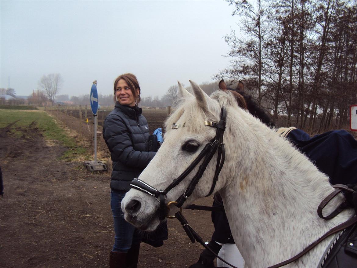 Welsh Partbred (Sec F) TofteKjærs Loralai {Tulle} *soglt* Du var bedst<3 - første distrikt stævne i spring 0 runde :) billede 18