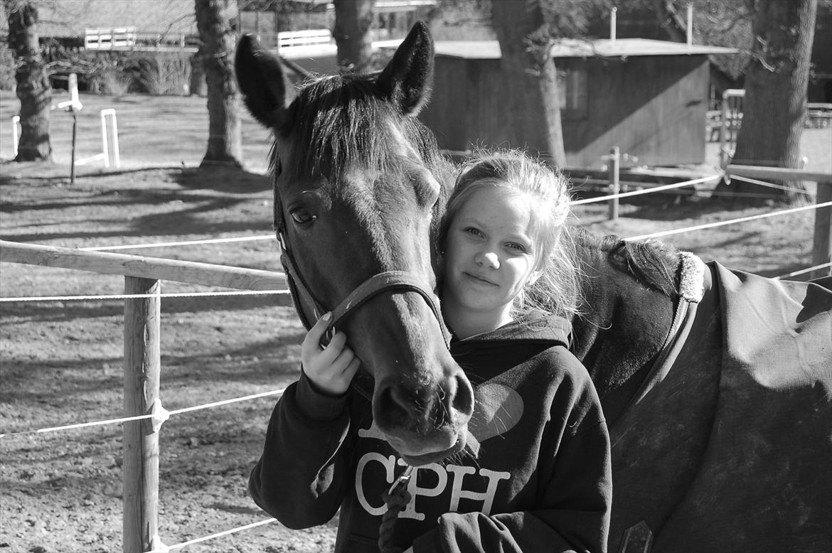 Tysk Sportspony Nixe Noel ( Noa) <3 - Noa du er fantastisk <3 billede 2