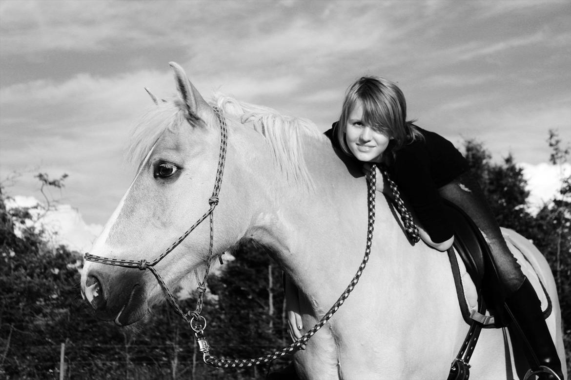 Anden særlig race Miss Jade billede 2