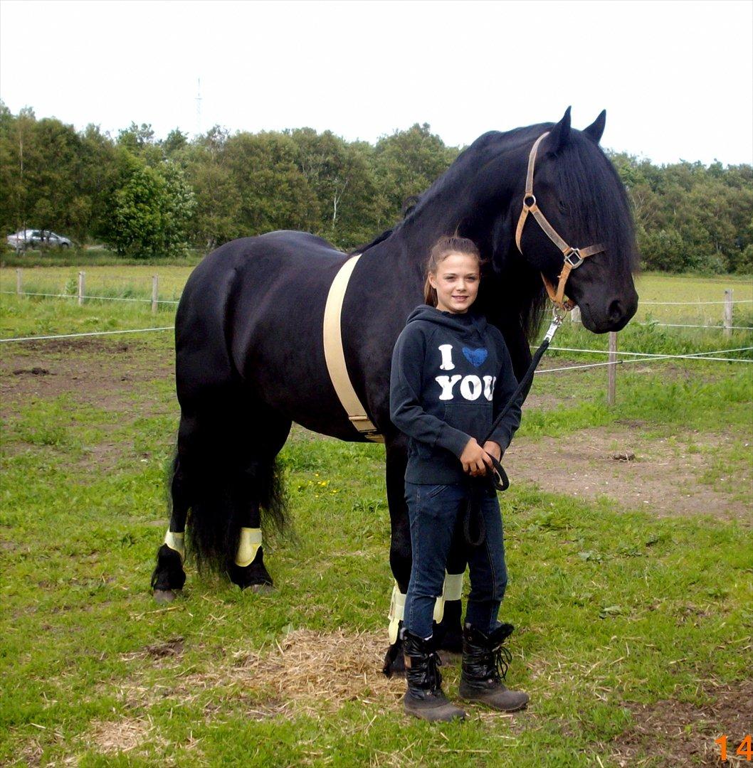 Frieser Marquis alias Haffelaffe billede 7