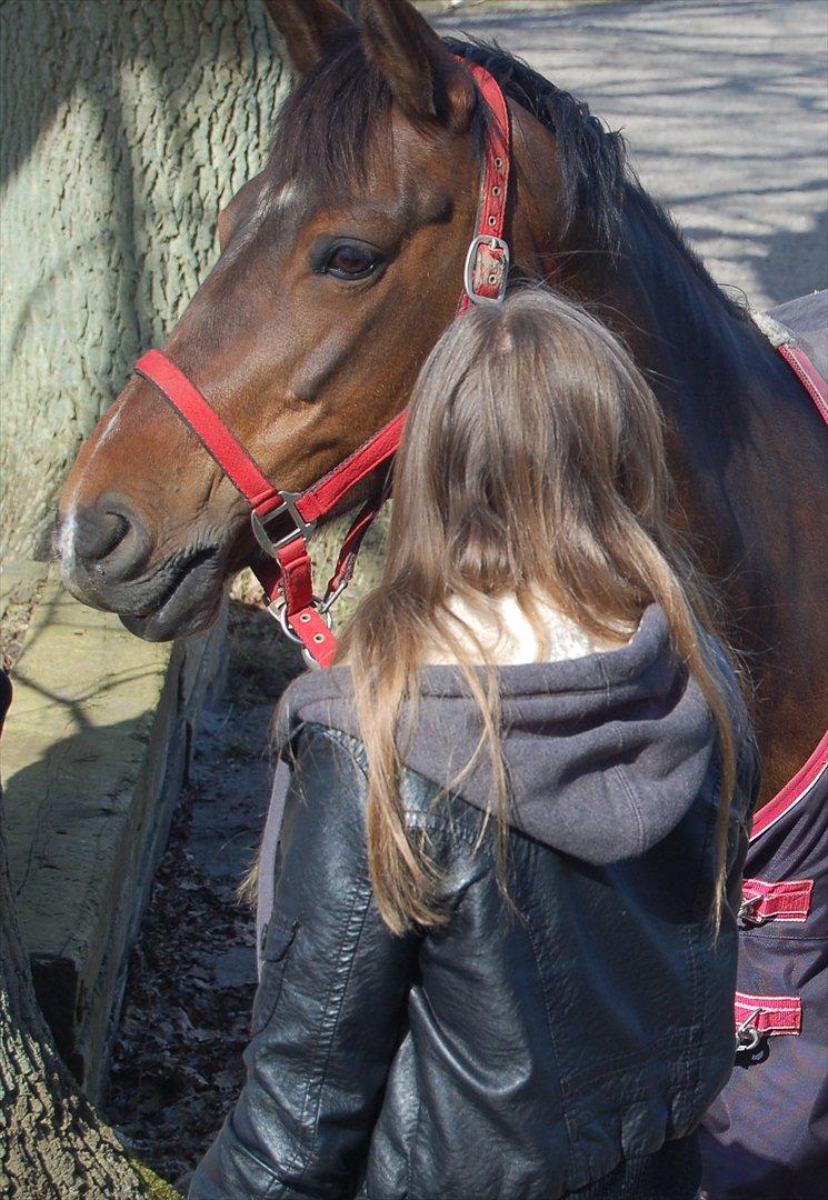 Tysk Sportspony Nixe Noel ( Noa) <3 - Du er den bedste<3 billede 10