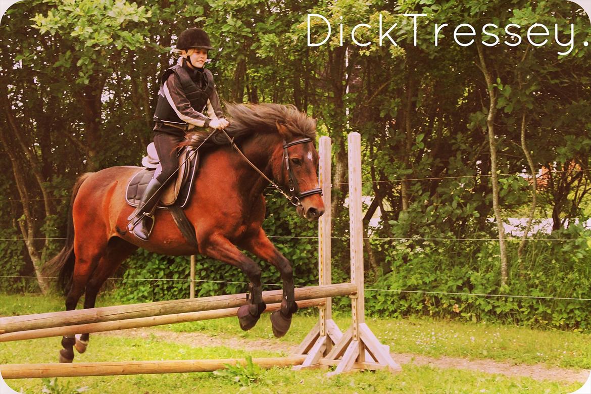 Anden særlig race Dick Tressey - Med dig kan jeg flyve til månen og tilbage igen! billede 9