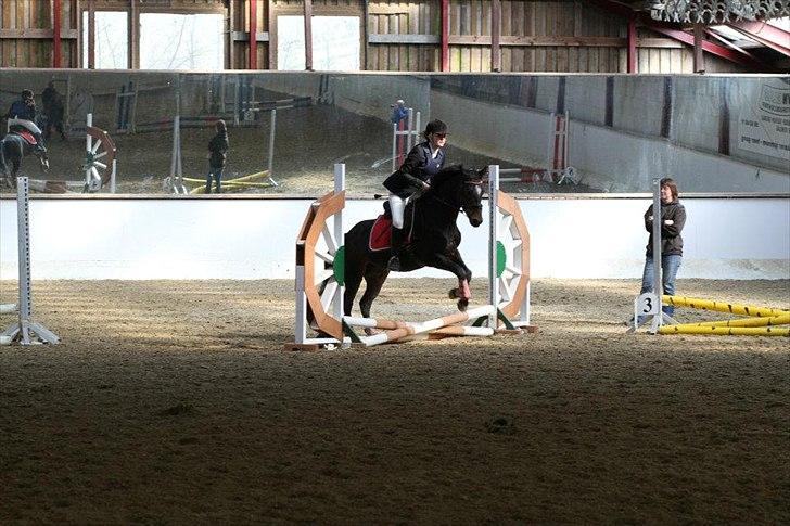 DSP Romeo Søblink - Springstævne 2012. billede 12