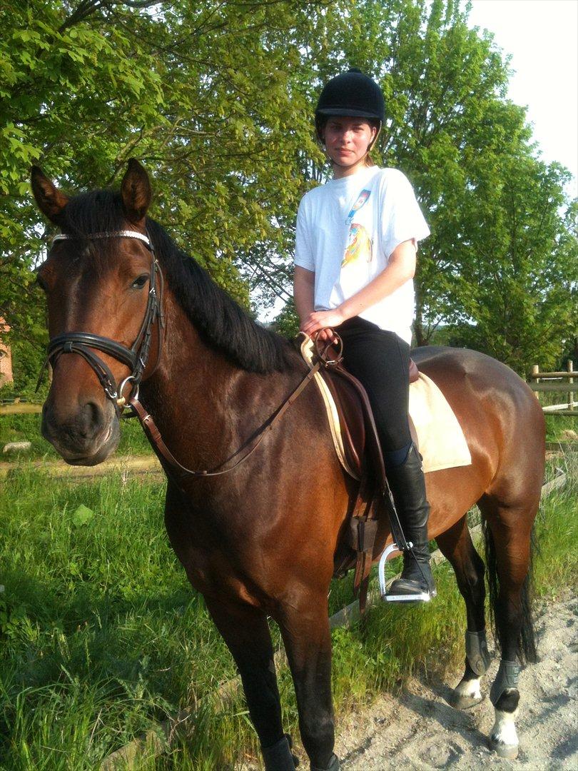 Knabstrupper Askgaardens Gry billede 10
