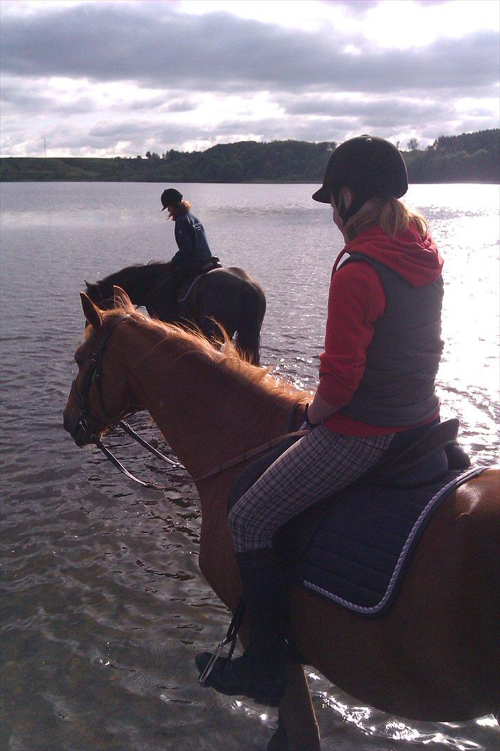 Anden særlig race Chivas [Har redet] - Mig og Chivas i kilen :) billede 5