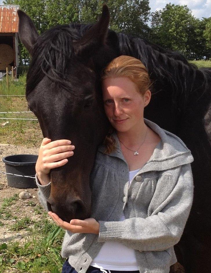 Dansk Varmblod Extrem billede 9