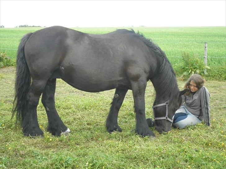 Tinker *Dronning Victoria* - Mig og Victoria hygger på folden<3 billede 5