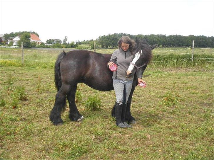 Tinker *Dronning Victoria* - Victoria skal have sin slik sten!<3 billede 11