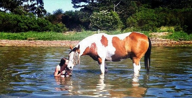 Anden særlig race Camino *CMNS* - Et kys er et smukt kneb, som naturen har skabt for at stilne talen, når ord bliver overflødige. billede 1