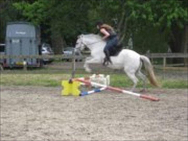 Lusitano Quanza  - Aller første gang vi springer! Så god hun er!! billede 20