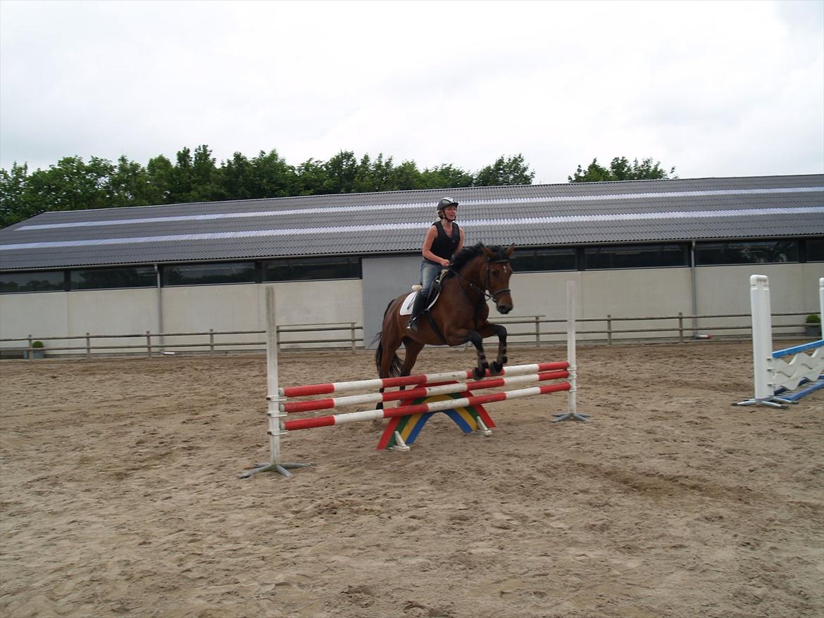 Holstener TT- Lacopia billede 19