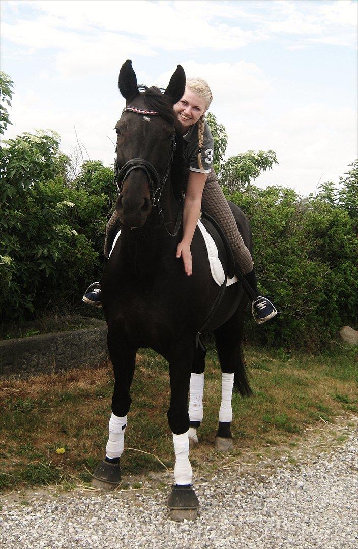 Dansk Varmblod Leasy - D. 16/6-12 billede 10