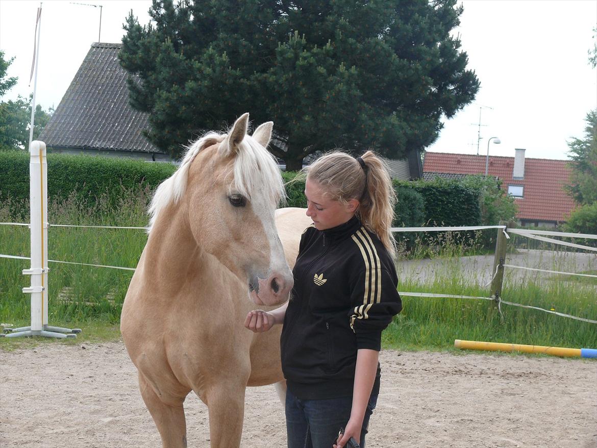 DSP Tovdal's Ivory Princess <3 - prinsesse <3 billede 12