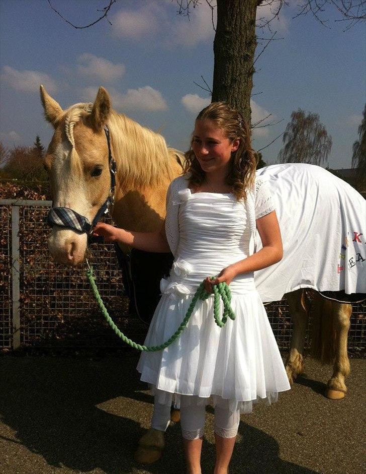 DSP Tovdal's Ivory Princess <3 - Ivory til min konfirmation <3
 billede 5