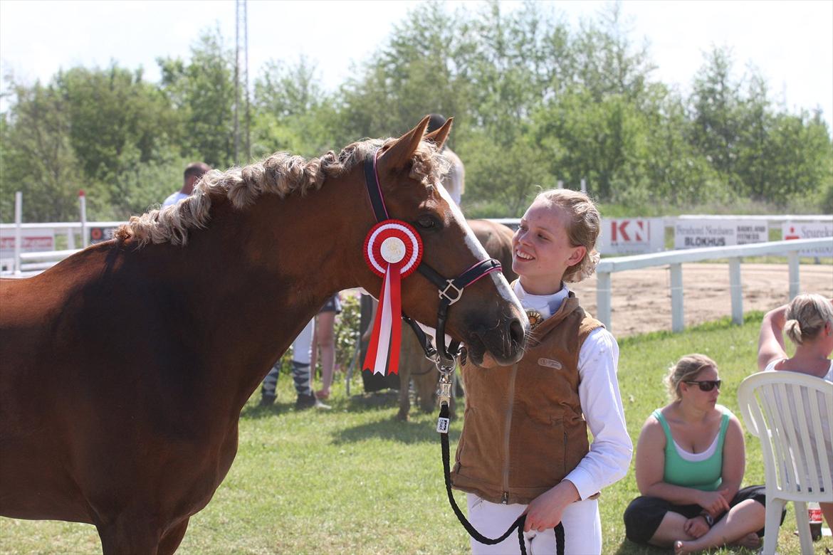Anden særlig race Nørregårdens My Lady - Fantastiske Lady der lige snuppede en første plads til vores tredje stævne! billede 1