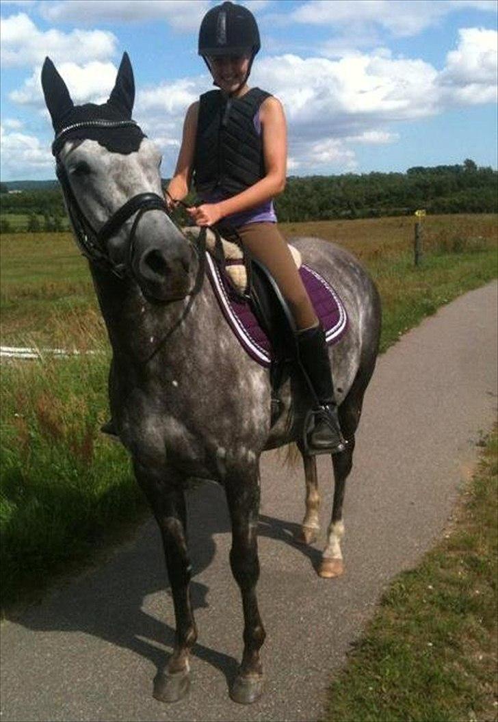 Anden særlig race Jasmijn - dejlig tur på natur stien  billede 1