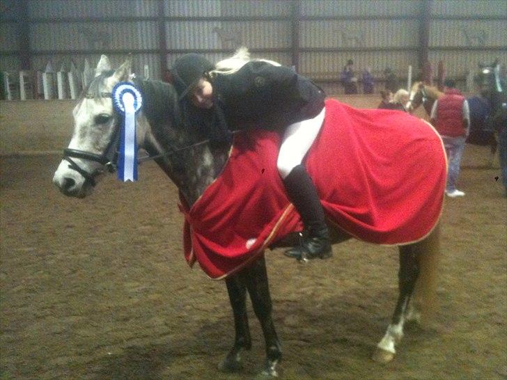 Anden særlig race Jasmijn - til stævne vandt en 2 plads første stævne på hende billede 3