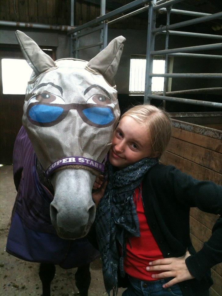 Anden særlig race Jasmijn - jeg er sejjj billede 5