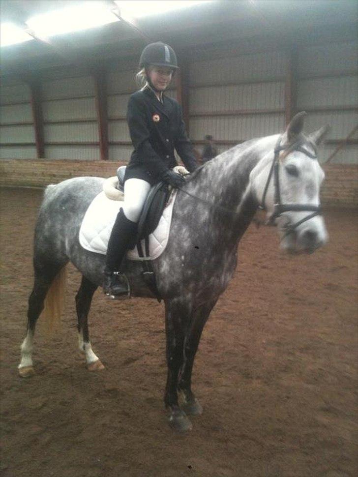 Anden særlig race Jasmijn - til stævne billede 7