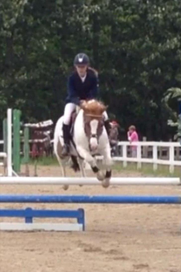 Anden særlig race Tarzan - ★Velkommen til Tarzan's profil★
LA i Slagelse d. 16.6.12 billede 1