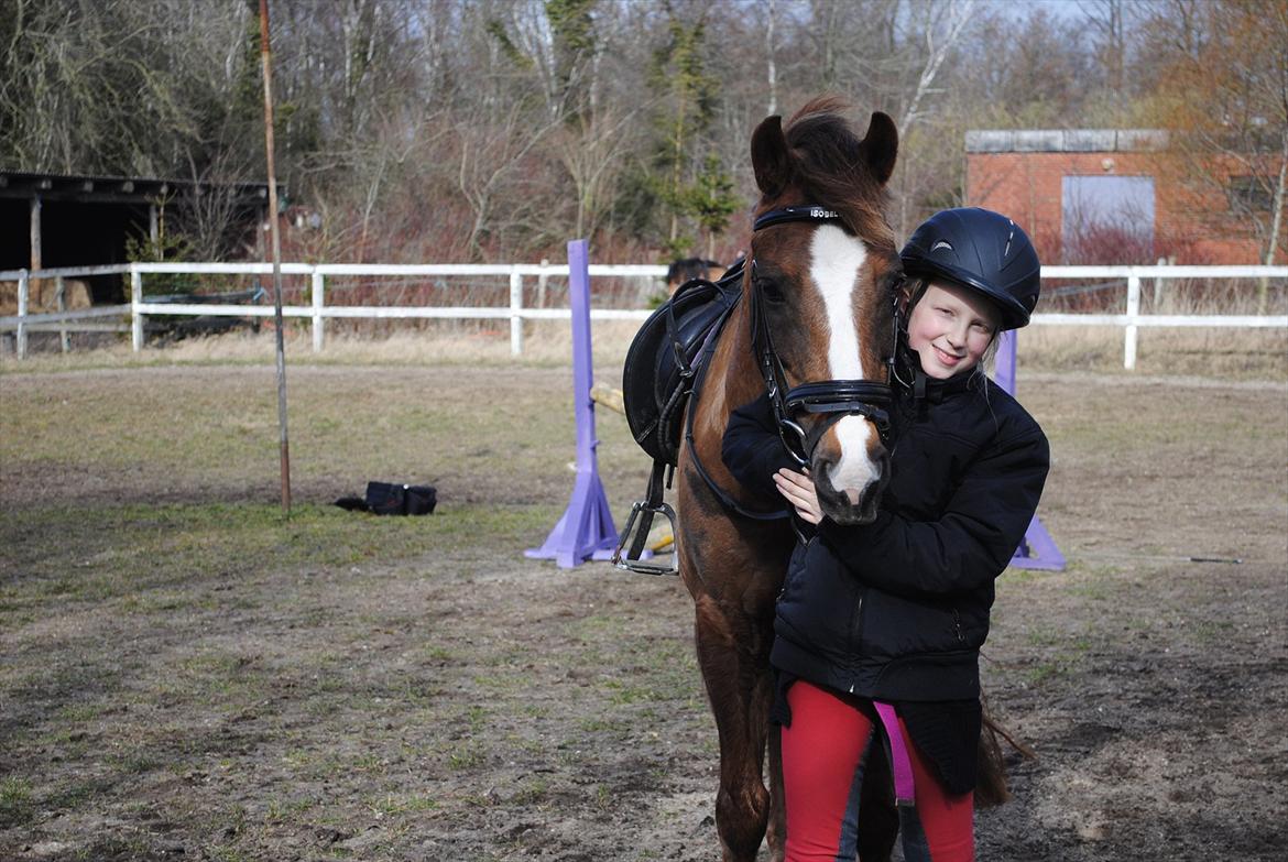 Anden særlig race ISOBELL (solgt) billede 4