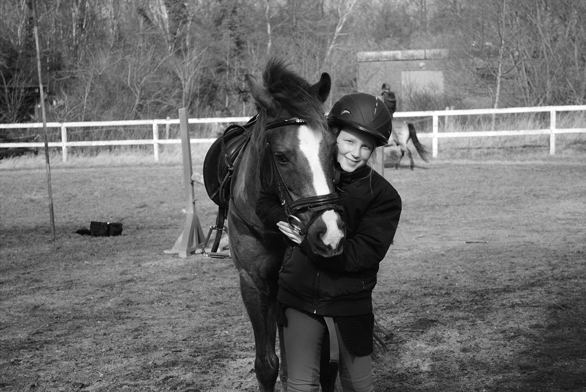 Anden særlig race ISOBELL (solgt) billede 7