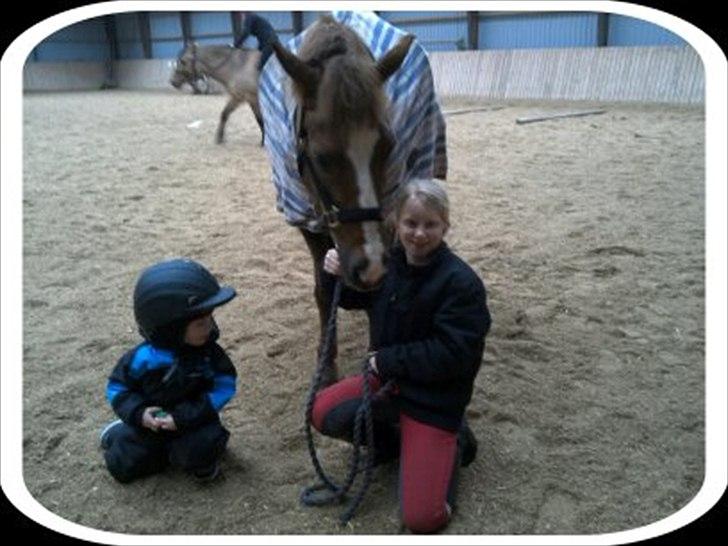 Anden særlig race ISOBELL (solgt) billede 9