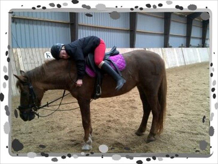 Anden særlig race ISOBELL (solgt) billede 10