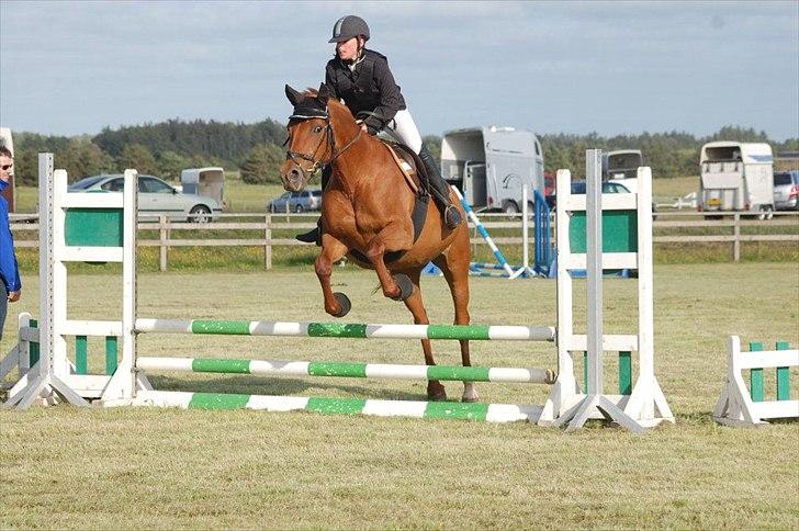 Dansk Varmblod Ibiki (død)  - LE springning(JUni 2012) (ibiki's første springstævne i 4 år) Lille søster springer 
//fotograf Annika Larsen billede 10