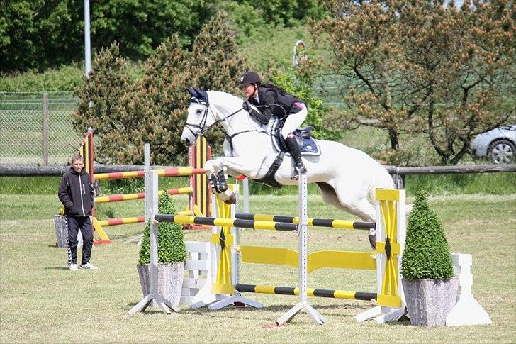 Dansk Varmblod NICE FELLOW - Felle og jeg til individuelt distriksmesterskab 2012 for juniorryttere, nr. 3

LA** 120 cm

Billede: CSH-Photo billede 8