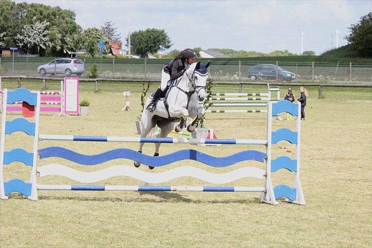 Dansk Varmblod NICE FELLOW - Mesterskab igen.

LA** 120 cm

Billede: CHS-Photo billede 11