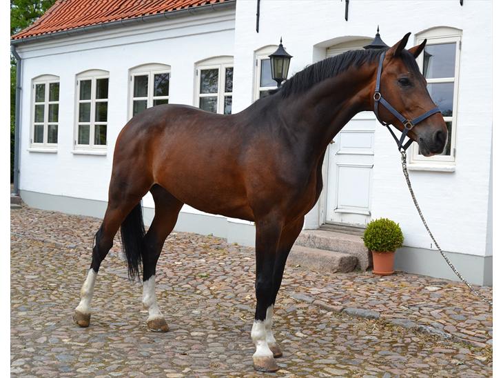 {{currentPhoto.altText}} billede {{currentPhoto.number}}