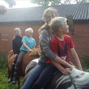 Anden særlig race Mille