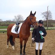 Pinto Lyvang's Fair Play