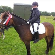 Anden særlig race Starly